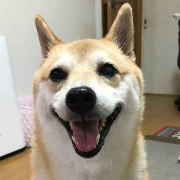 6675e5bf 1588 4ce2 a9ff 1359cb28547c