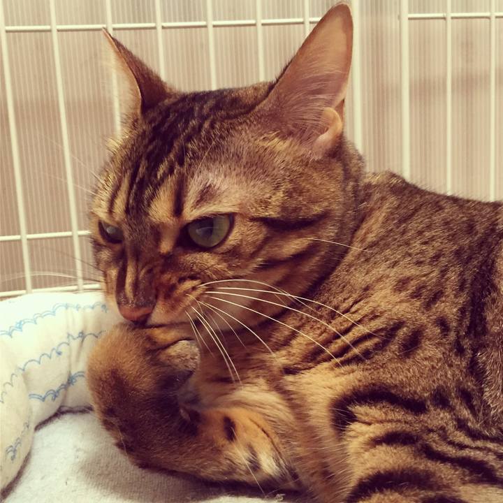 667620fb 739f 48b2 9eb2 ff9e6d3f3cd9