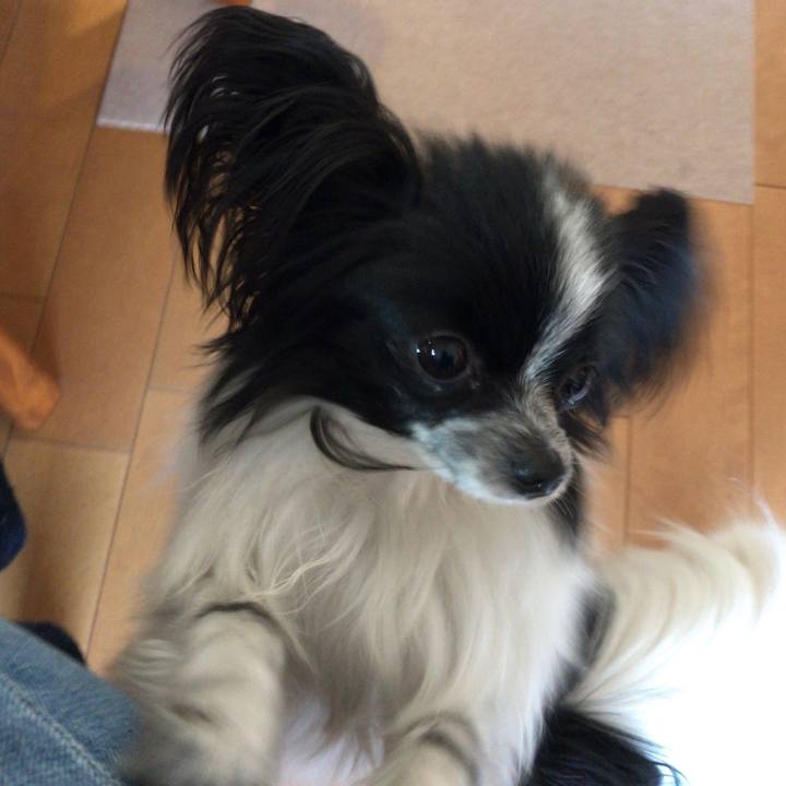 66764ef3 1b42 47c9 8809 48200f53fafe