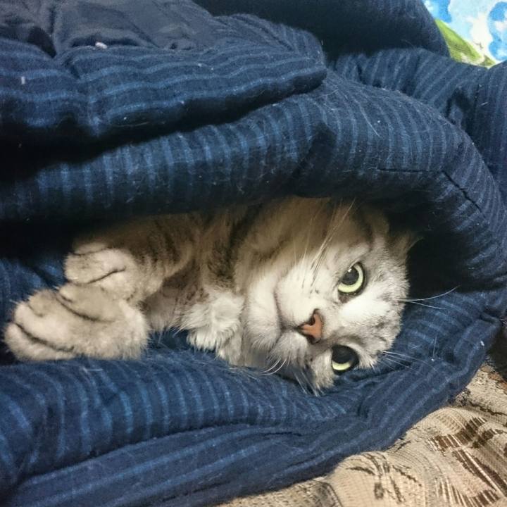 66766206 921b 4d08 955f 1208283d50c7