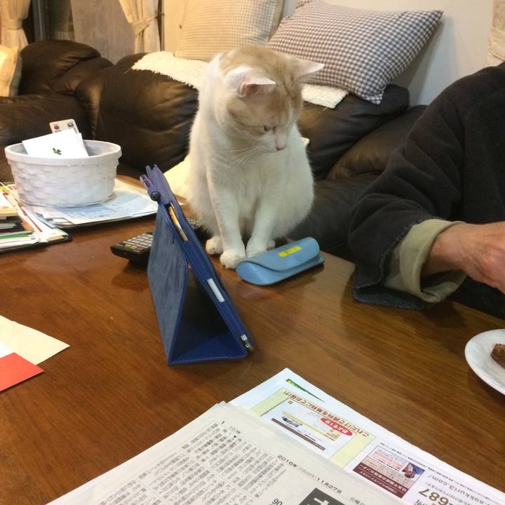 66774b67 b7cd 4b55 b9ba eb4a23508367