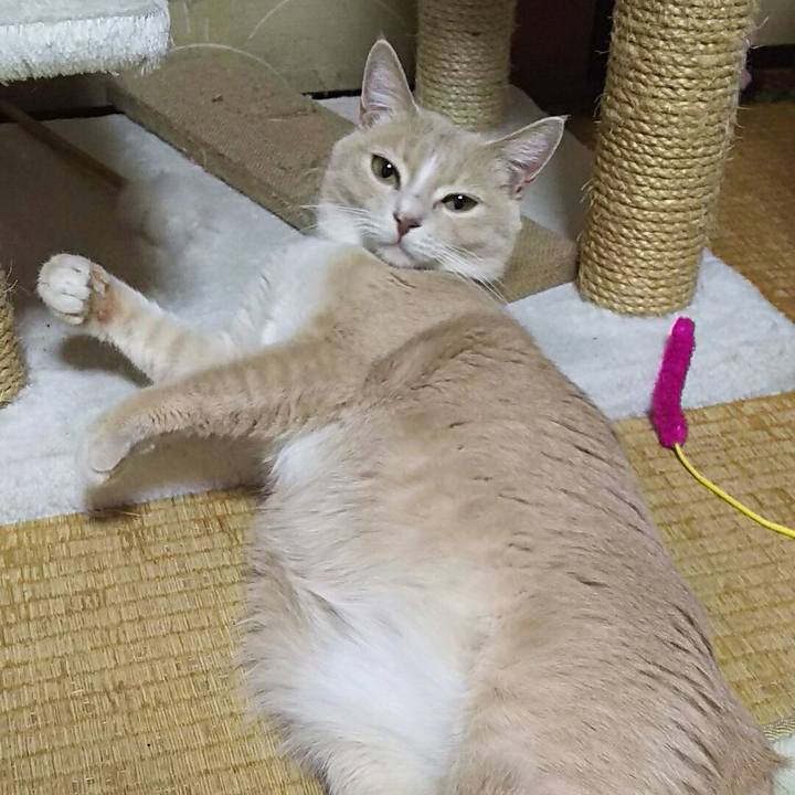 667812f9 31b2 4035 8ef1 f107bb32465e