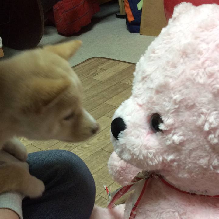 66782d39 abb4 4e67 b9ad b1f822532fe6