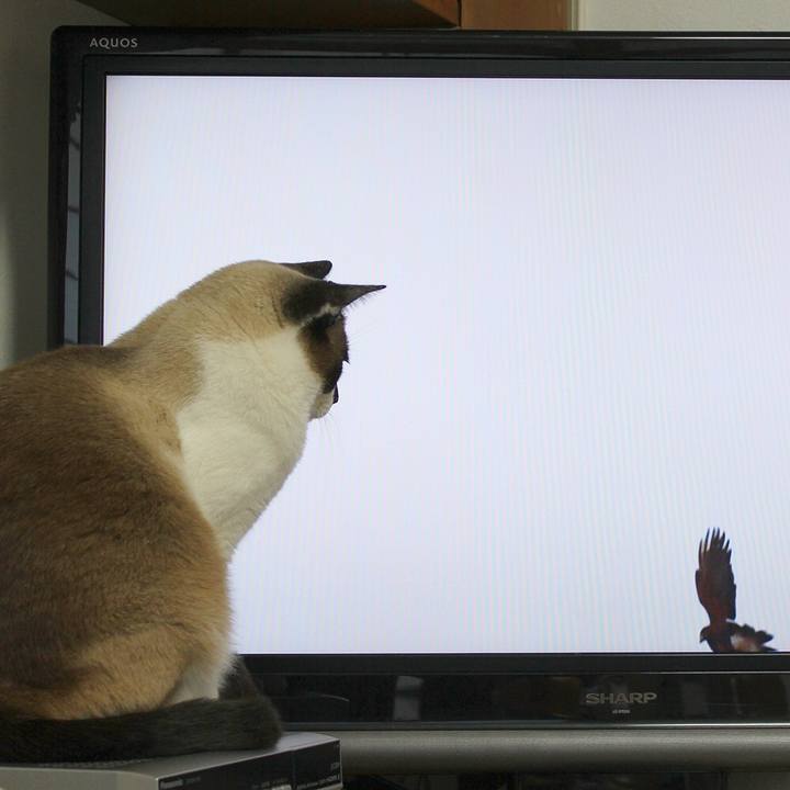 66785cbc 0223 477a 9e77 9946e4b9365e