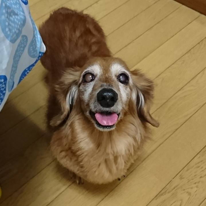 6679e624 ec38 4785 9ea4 2696d50fb34c