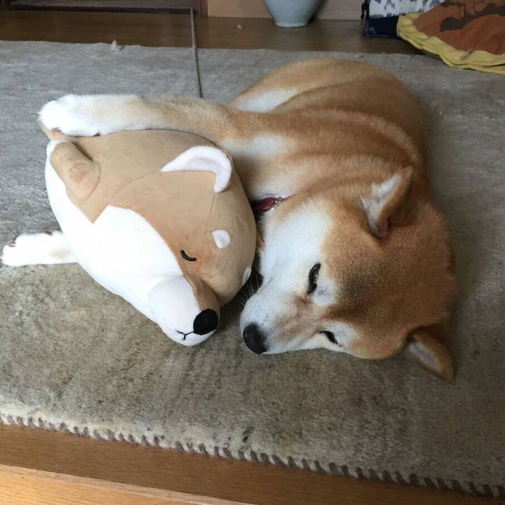 667a1523 b73c 459d a886 8ef4a47fe06d