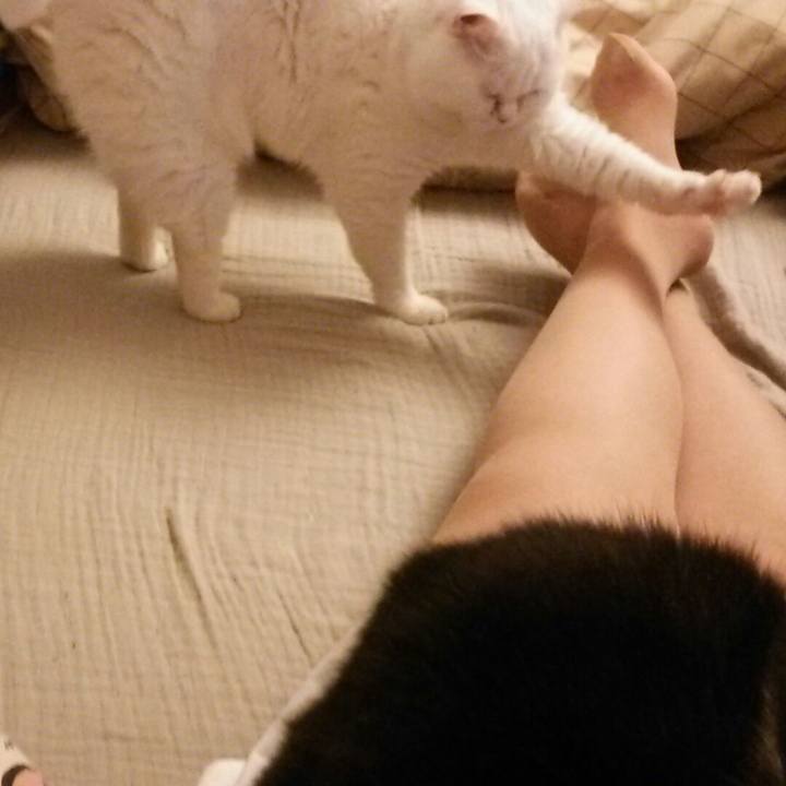 667a169e dee6 41bf b5da aa0a747f4e31