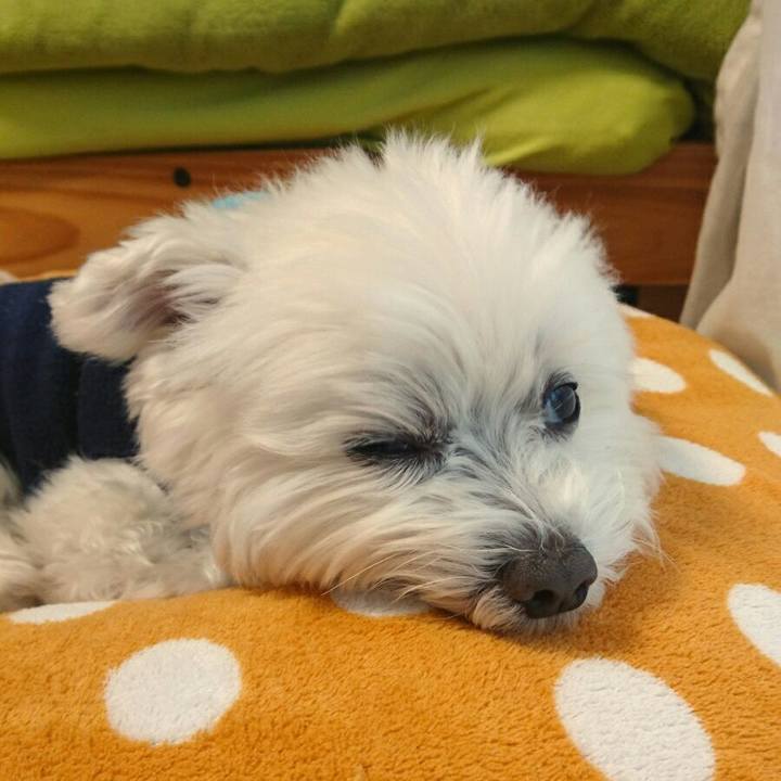 667a23fa c5ea 4102 82c9 c3f908b71b9b