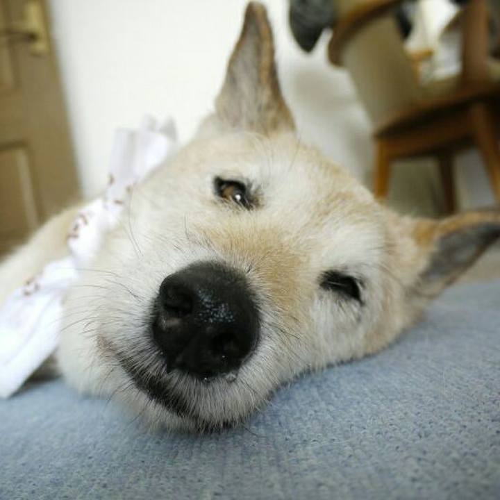 667aaa1c 61d2 4a15 b141 5eea39c97a29