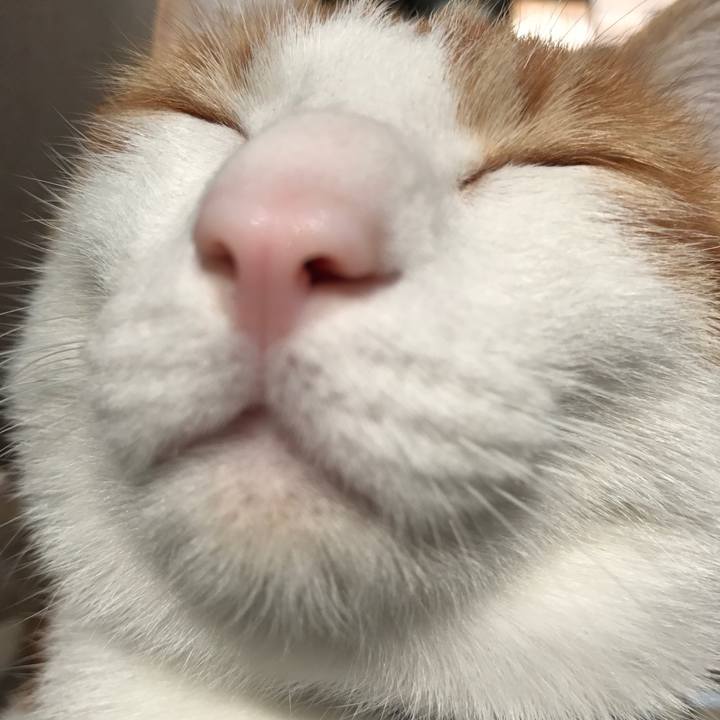 667ad093 a789 46c5 bd61 212760d955ab