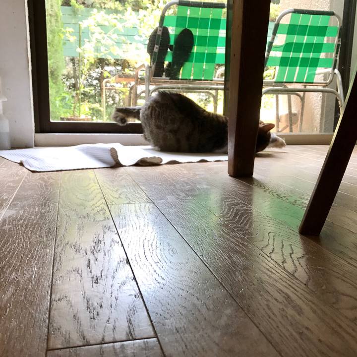 667ad314 a1aa 47cd 9d80 ba8b2477f50c