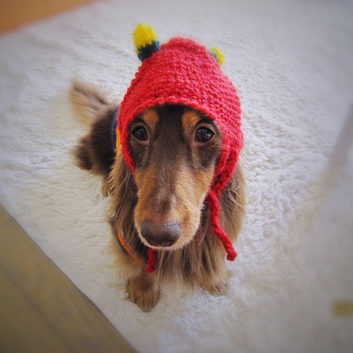 667b3f76 e44c 4298 a3b8 f805977e870a