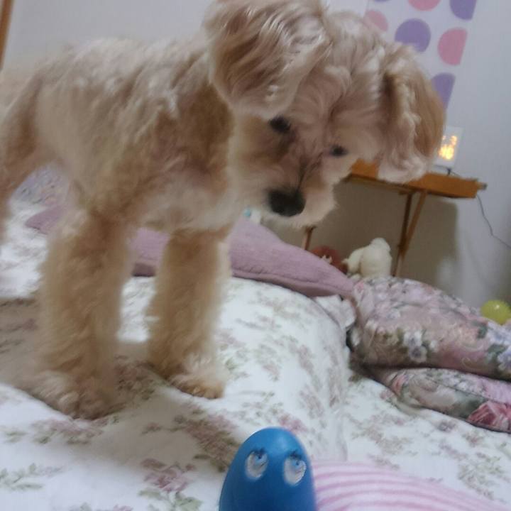 667b4f92 52af 4b08 8b24 8b0b243050e0