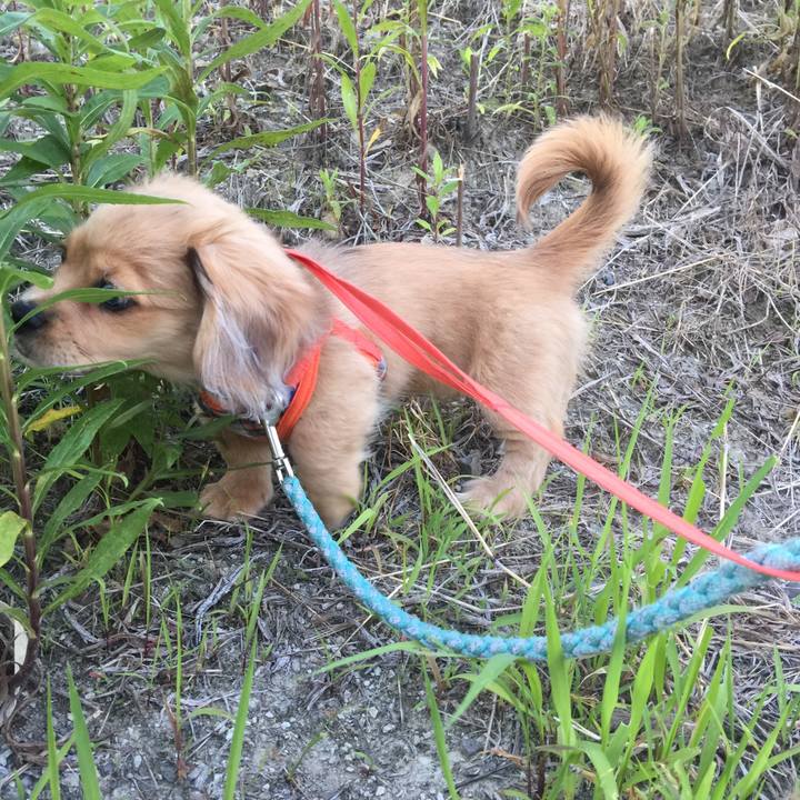 667b55b0 d49b 4fb1 bf99 76d0073611e4