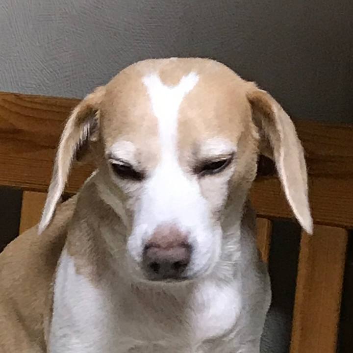 667b574a 133e 4f6e b093 2143c3963f29