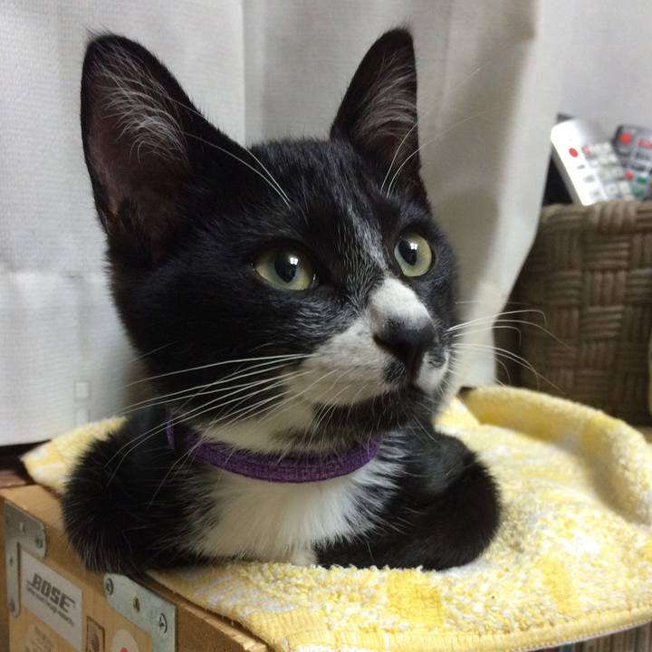 667c521b c89d 4d7b 86a4 dd2c7f072345