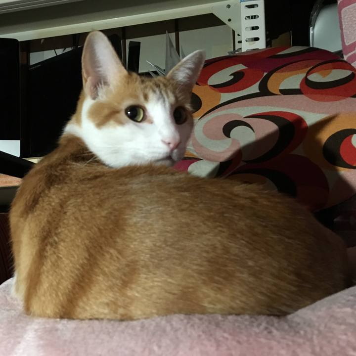 667c77c1 f529 4710 bd96 0ad76d5d5f34