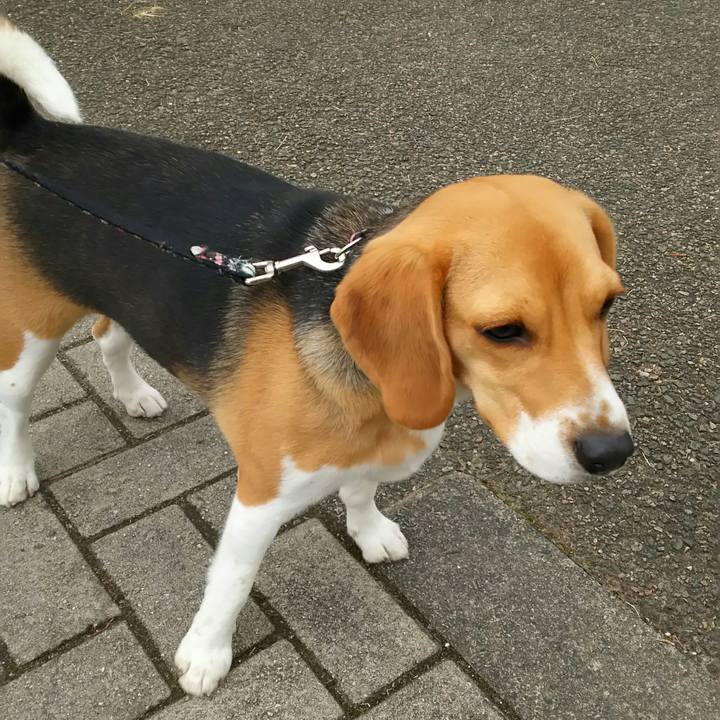 667d308a c485 4e17 9429 f22c460fd848