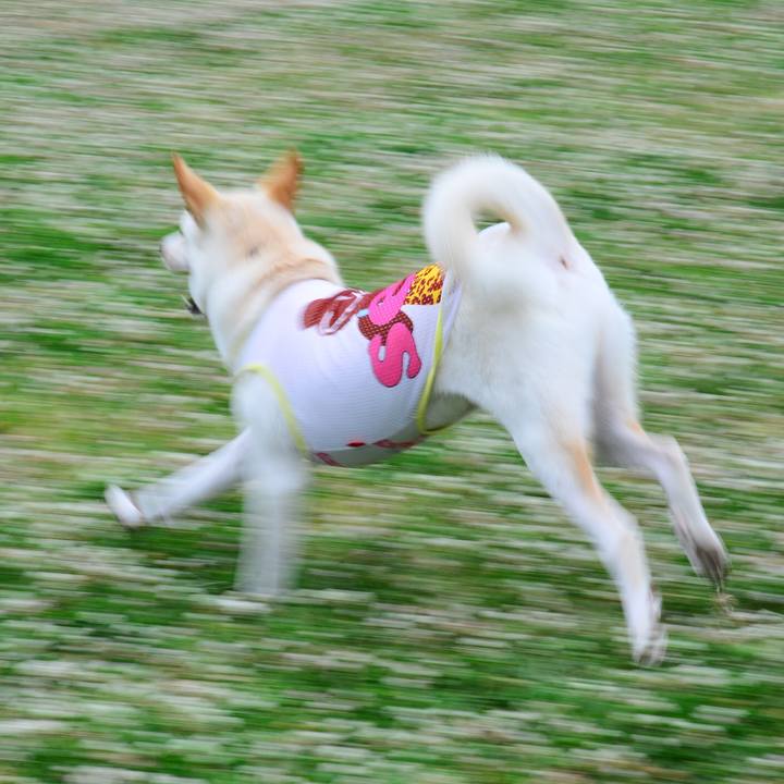 667d7012 26a0 427b 98d2 0ab0e10342d2