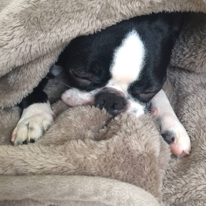 667d98a6 a26a 4fba 9b9b f532222f74d5