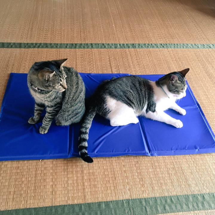 667dddb7 f22e 4b91 9edc aa8536aa2303