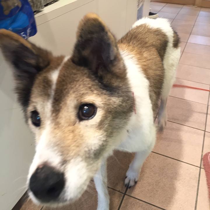 667df4c1 93d8 4c66 ac9c aa3b50cef5bb