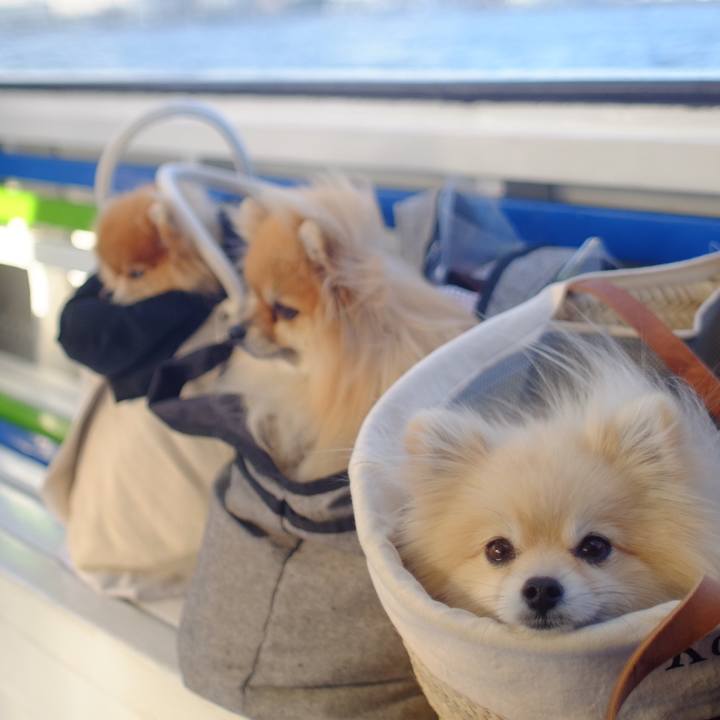 667ed38d a6a5 4289 a460 3096555ac512