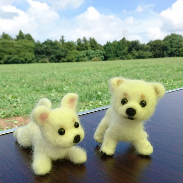 667f1796 b8fd 442c 9979 586ea085c854