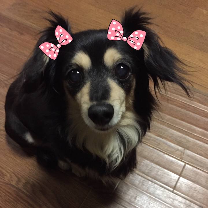 667fca04 48b0 49d6 bcbd e6b2de1fd379