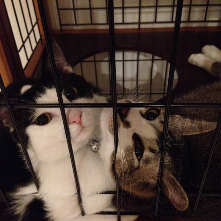 667fee8a 3135 470d 8bd0 3d1eebeabca6