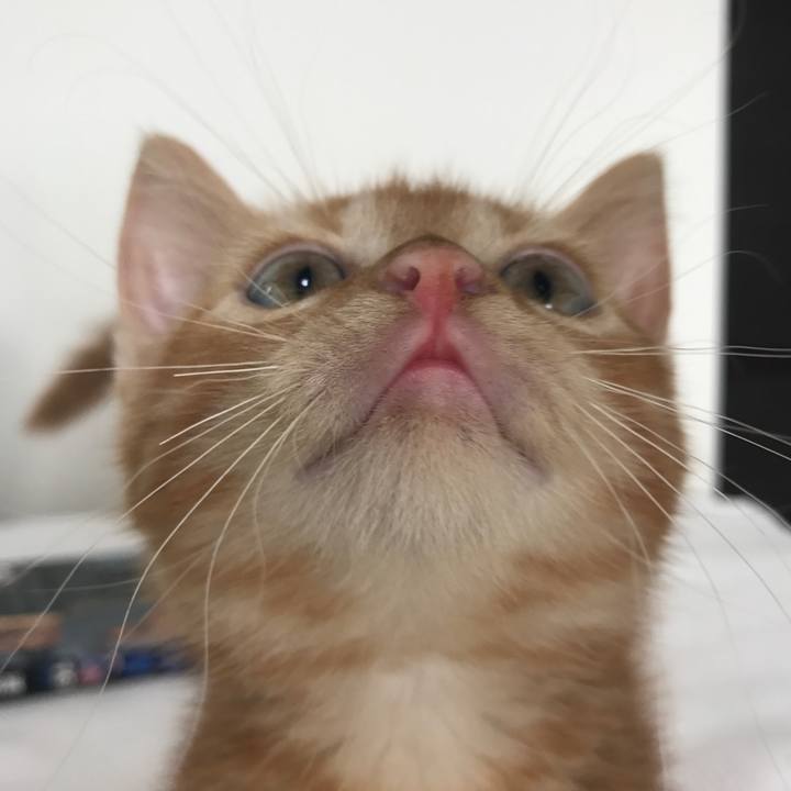 66800b8e d4a2 4f4a ad79 41b939c49995