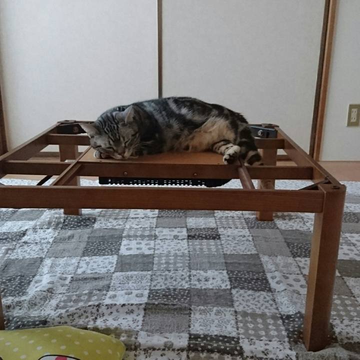 668045bb eb1d 4fa7 98fa 1ce7599b33bb