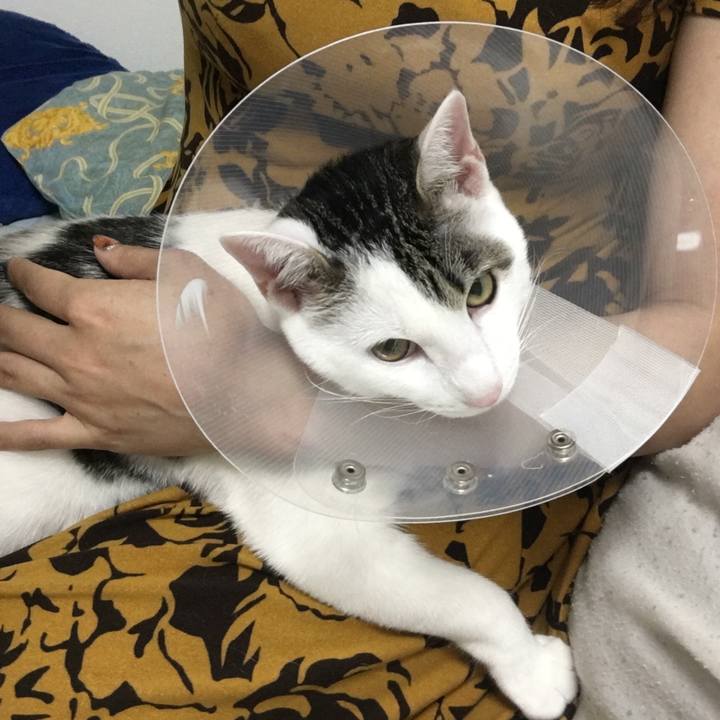 6680bdf3 c8fc 46f4 8fd4 c94b417b6439