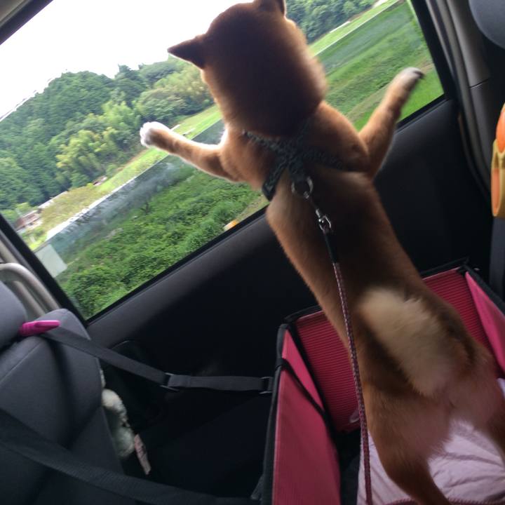 6680d8eb 3f50 455d bf35 29dbf5388cf7