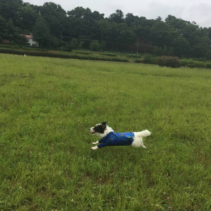 66819b3b 9134 48db ba20 89aea947fad5