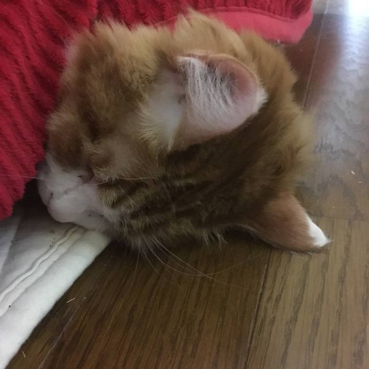 668264c2 ce93 4fdf b0fd e18f158ad7bf