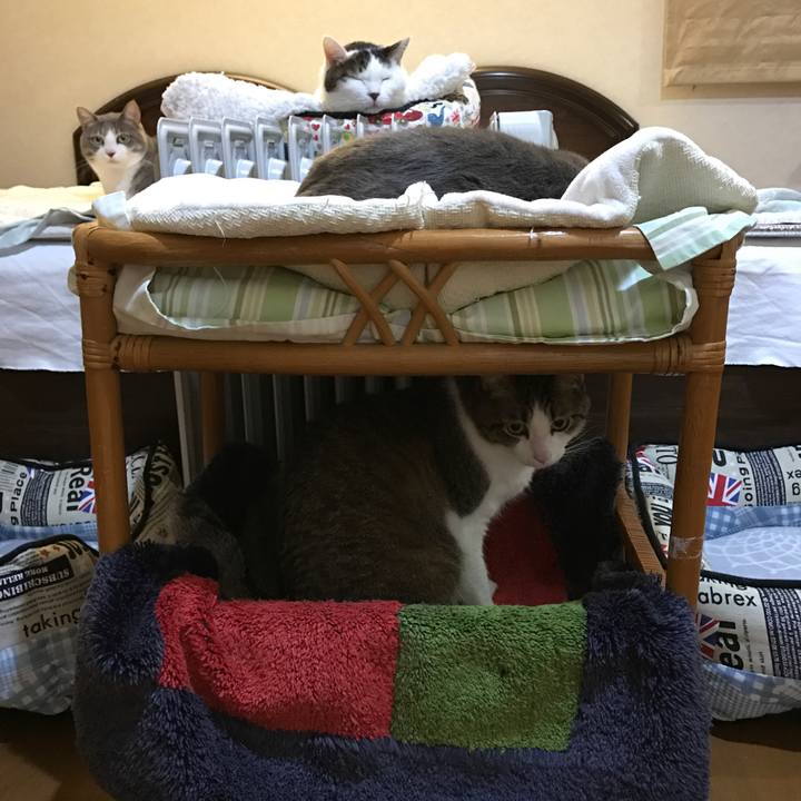 66828adf 3d11 4f3c a088 668dfb2e178e