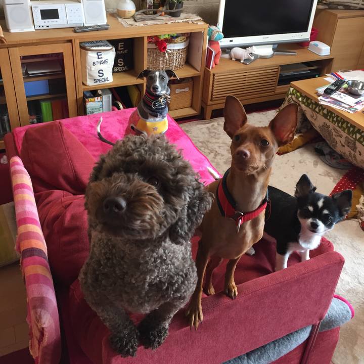 6682e2ba 07df 4c8f b91c 07ad187ba6d2