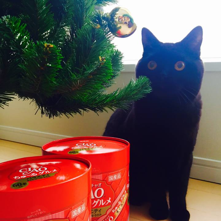 6682fb73 5736 46dd 9529 d1eafcf3bea5