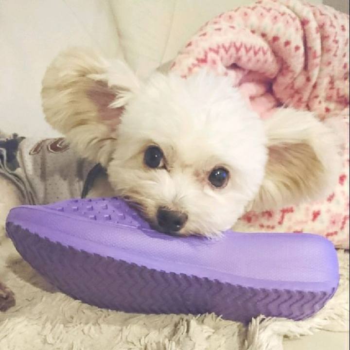 668376d8 6bd3 4cbe b577 703acdac478d