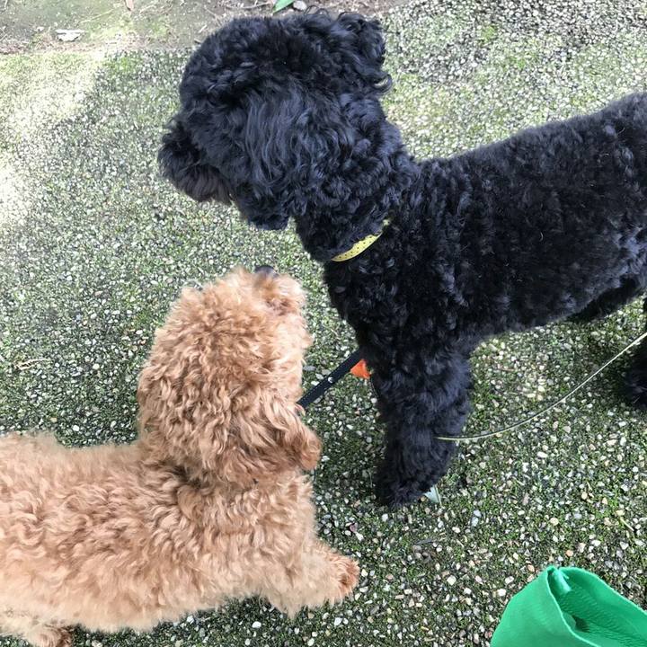 6683807b f8a0 47ff aa3f 22624cadd21a