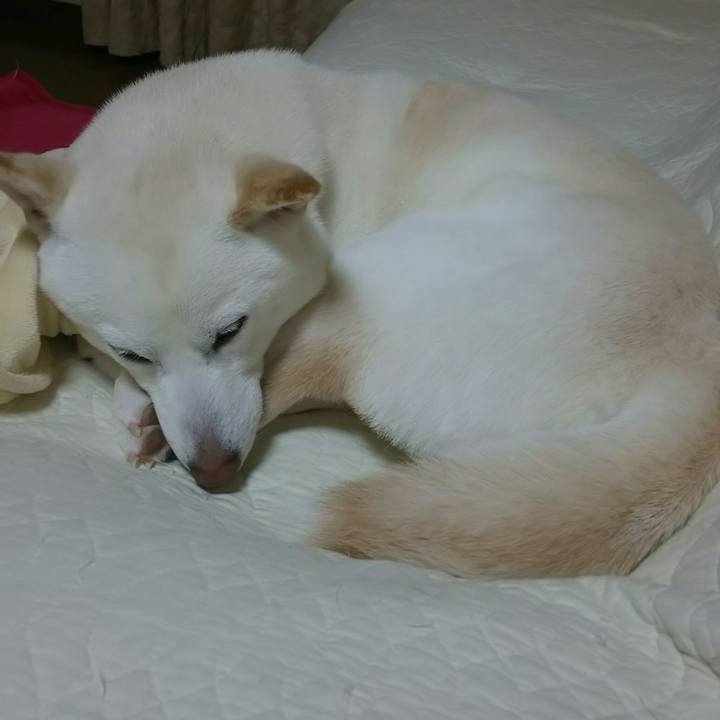 668386b7 9837 403f bf77 04591f7d021d