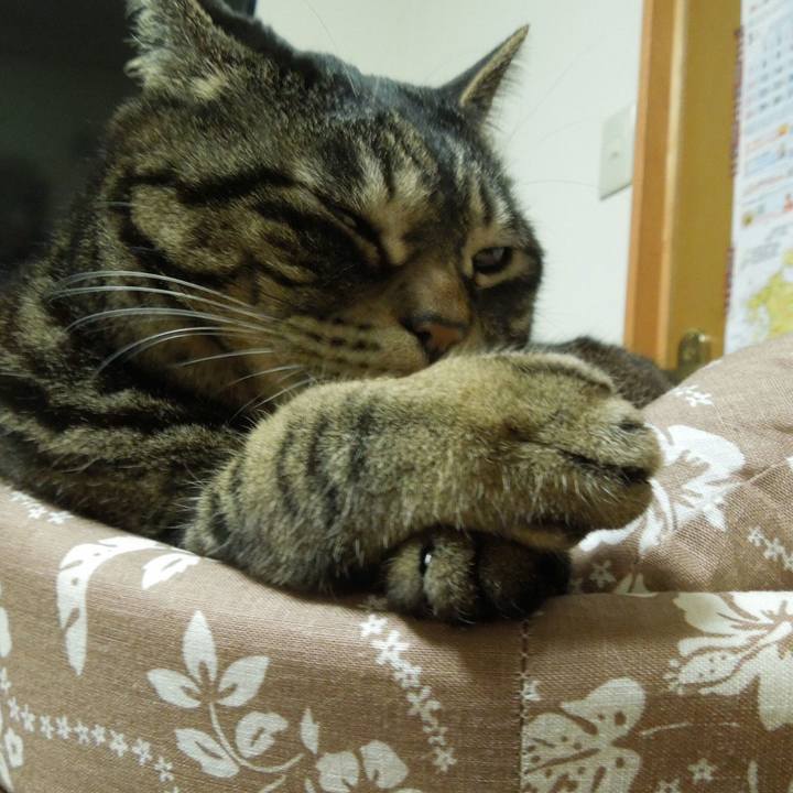 668396c8 542f 4d6e a60b e4f8685db9d6