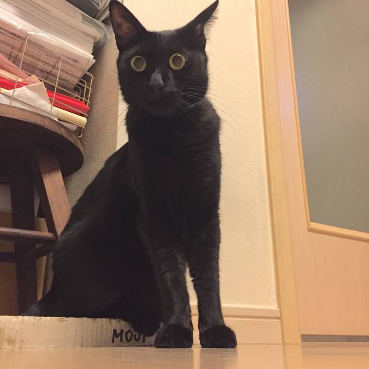 66843edf db91 4369 9faf c7a76cadd48a