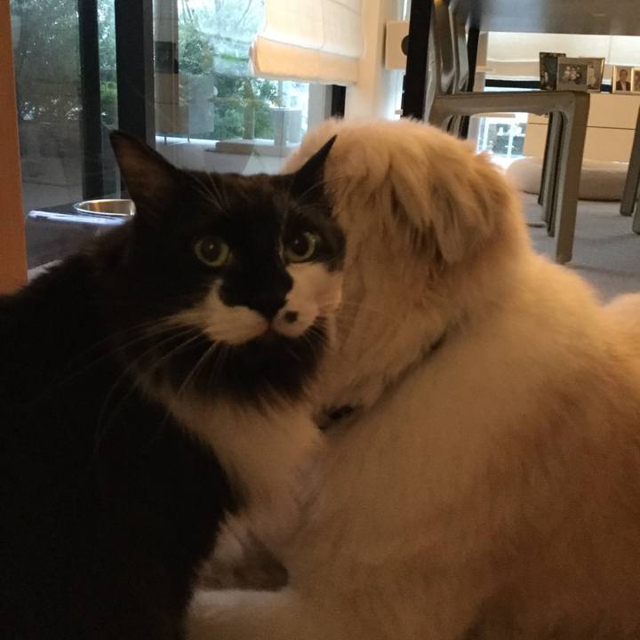 66846e15 25a8 45a3 b7d0 663c0f7fbb4f