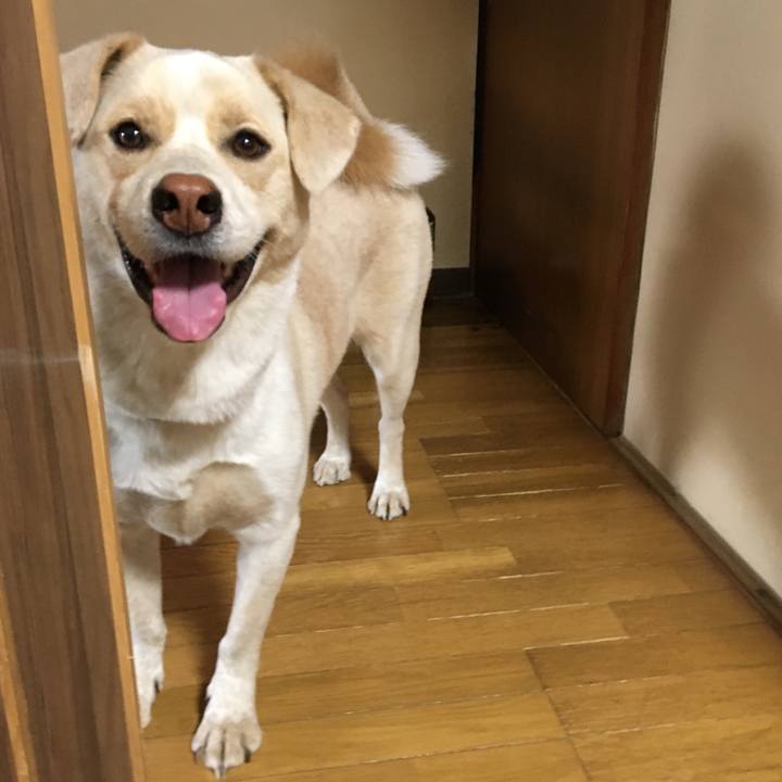 66849ac9 7d73 4fd5 8239 bce3d44fe223