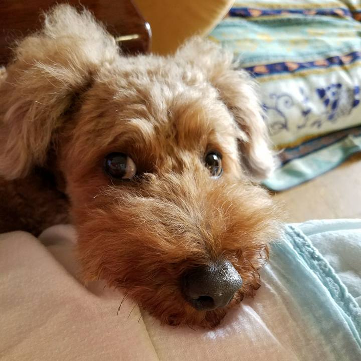 668578b7 4743 403c b374 db312e45023f