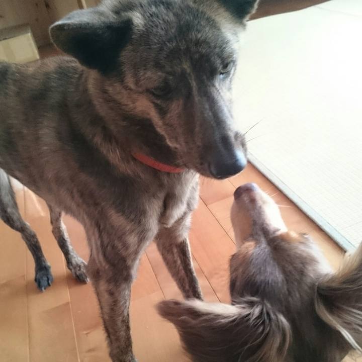 6685f826 1dfa 4934 aa75 d29fd3275219