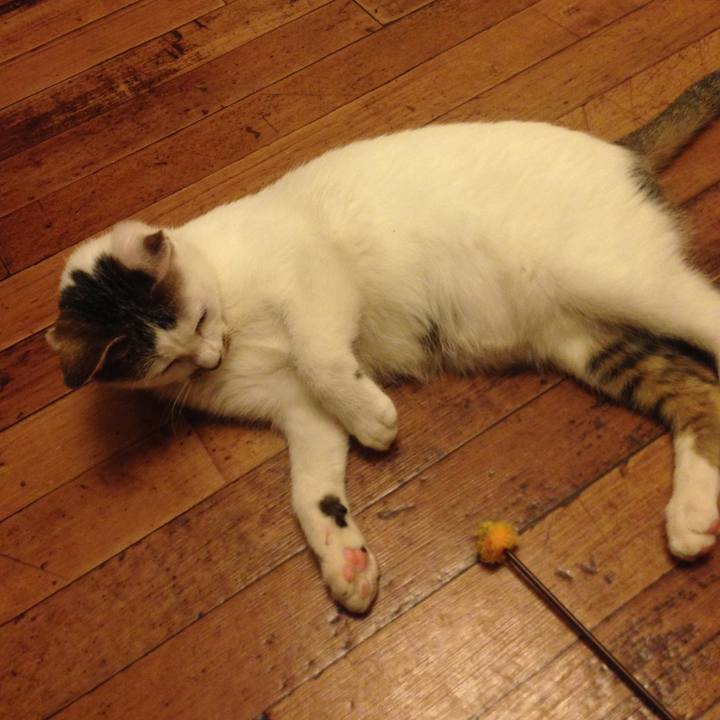 66863f6a 22c2 4c1a 8534 e214a0555a29