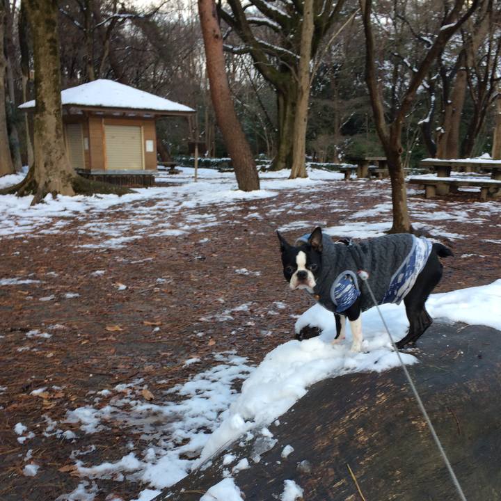 66867511 dc03 40f8 b597 38df46ee15e8